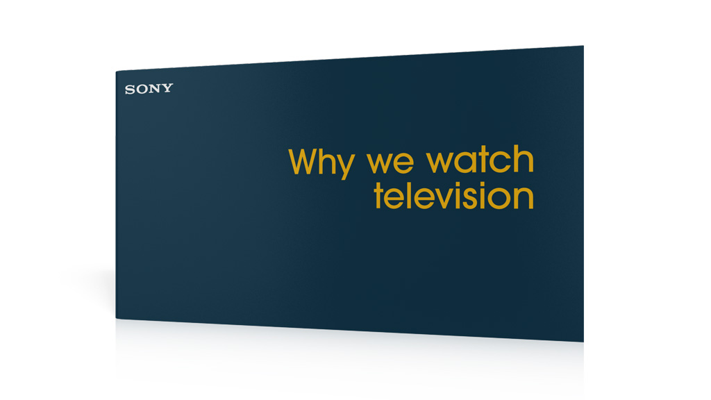 Why We Watch Television - report cover