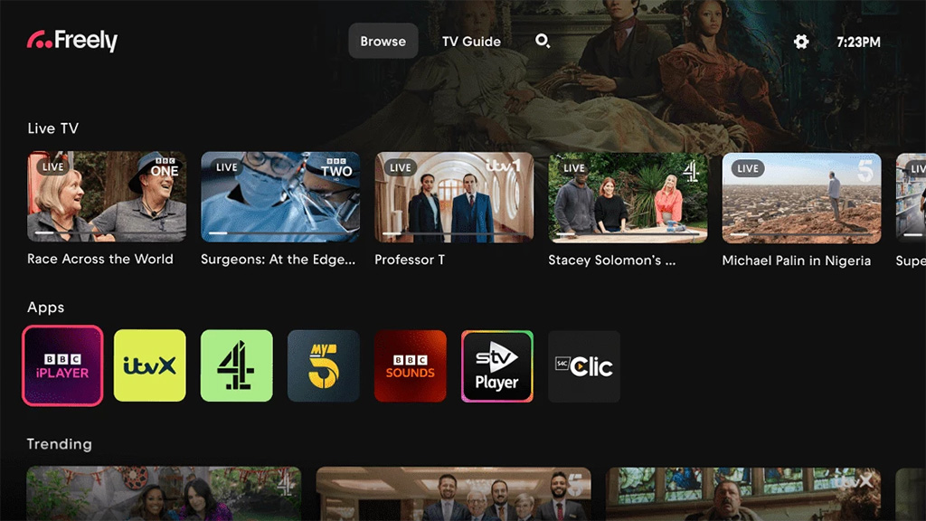 Freely user interface. Source: Everyone TV